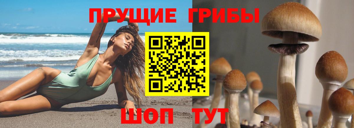 наркотики  Псилоцибиновые грибы прущие грибы  Вход с VPN  Краснокаменск 