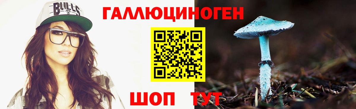 Галлюциногенные грибы GOLDEN TEACHER Краснокаменск